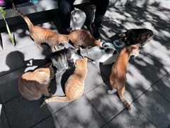 -晓港公园