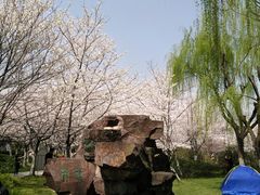 -范蠡湖公园