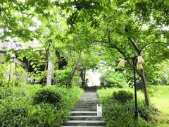 -森波拉火山温泉