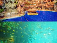 -长鹿旅游休博园