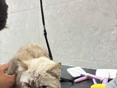 -忠犬公馆(月亮湾店)