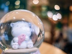 -飞行喵MR PILOT|猫舍·猫咖(静安大融城店)