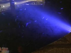 -宝丽金大酒店·洗浴中心