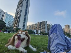 -拜鲁耶动物诊疗中心·宠家动物医院