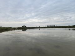 -盐城丹顶鹤湿地生态旅游区