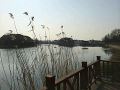 -上海市保健医疗中心(华东疗养院)