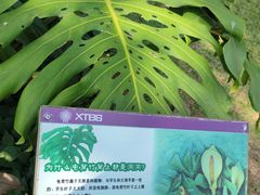 -中国科学院西双版纳热带植物园