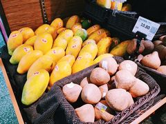 -坂田天虹
