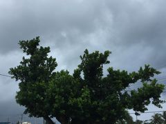 -北马里亚纳群岛博物馆