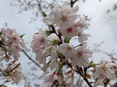 -西北湖绿化广场