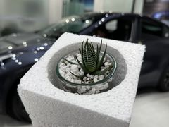 -TESLA 特斯拉(北京颐堤港体验店)