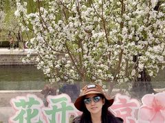 -元大都城垣遗址公园