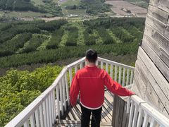 -帽儿山国家森林公园