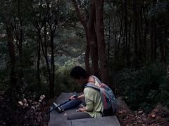 -午潮山国家森林公园