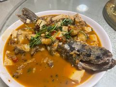 -煲来饱去冷水鱼