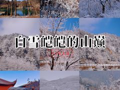 -四明山国家森林公园