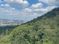 -紫金山山顶公园