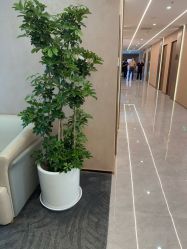 -LIHER北京丽合医疗美容医院