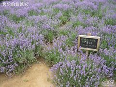 -云峰山自然风景区