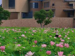 -滆湖低碳生态公园
