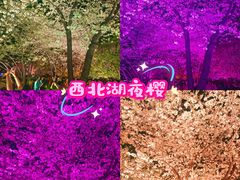 -西北湖绿化广场