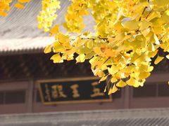 -钱王祠