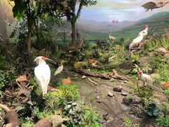 -陕西自然博物馆