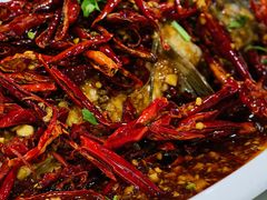 -田记餐馆(富国街店)