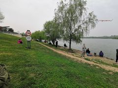 -灞河西岸滨河公园