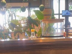 -聚汇坊椰子鸡·山野菌(环市东店)