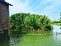 -泗洪洪泽湖湿地景区