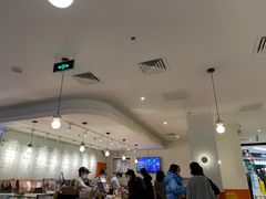 -油梨树 AVOCADO TREE(亮马桥店)