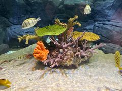 -上海海洋水族馆