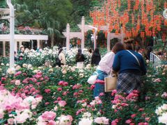 -人民公园(罗湖区)