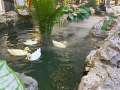 -赛格国际购物中心(小寨店)