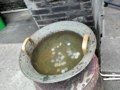 -碧江金楼