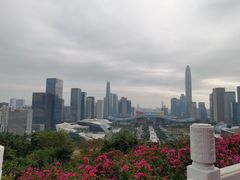 -莲花山公园