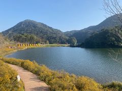 -广州市石门国家森林公园