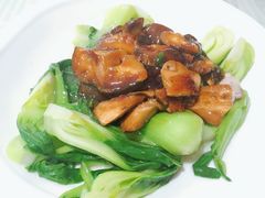 -乔家栅(襄阳南路店)