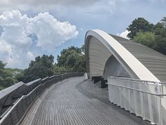 -亨德森波浪桥