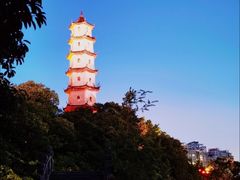 -江心屿景区