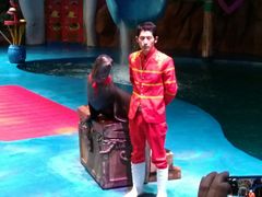 -烟台海昌鲸鲨海洋公园