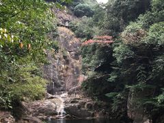 -花岩国家森林公园