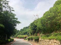 -火炉山森林公园