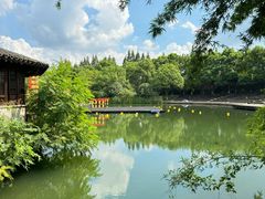 -乌镇景区
