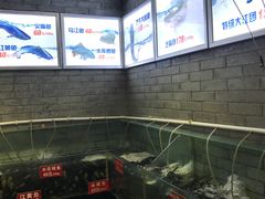 -老凯俚酸汤鱼(鸿通城店)