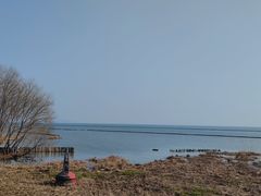 -贡湖湾湿地公园