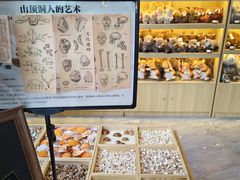 -北京周口店北京人遗址博物馆