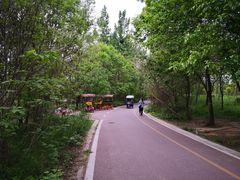 -淇河国家湿地公园