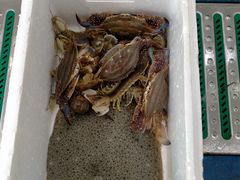 -海之味海鲜大咖·家常菜